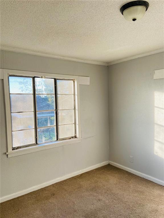 unfurnished room featuring carpet, crown molding, and a textured ceiling