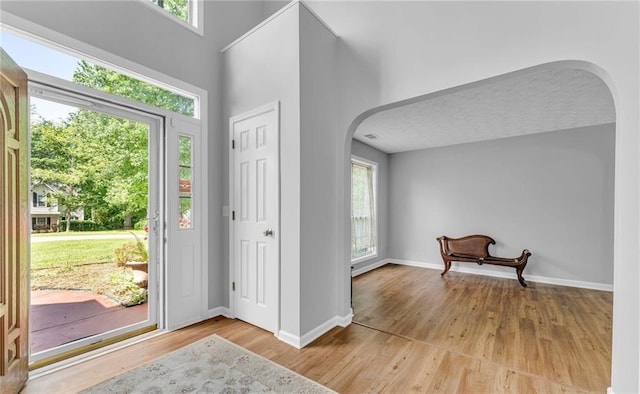 190 Crestworth Ct, Powder Springs, GA 30127 - entryway featuring arched walkways, plenty of natural light, wood finished floors, and baseboards