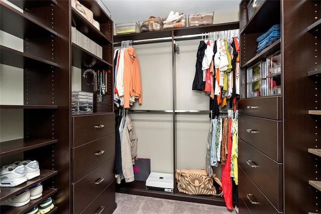 3710 Robinson Walk Ct, Marietta, GA 30068 - view of spacious closet