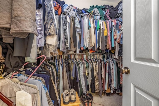 930 Brenau Point Dr, Gainesville, GA 30501 - walk in closet with carpet floors