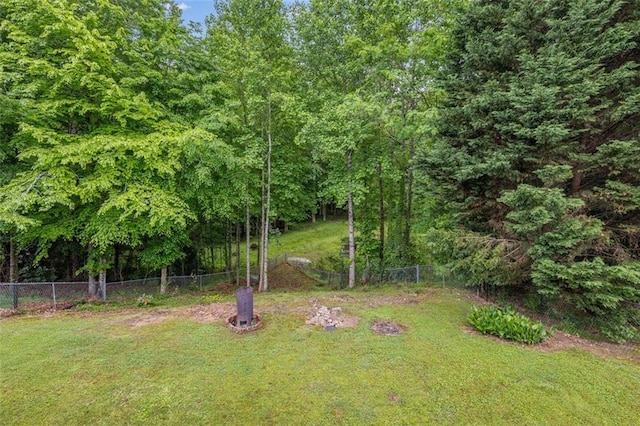 930 Brenau Point Dr, Gainesville, GA 30501 - view of yard