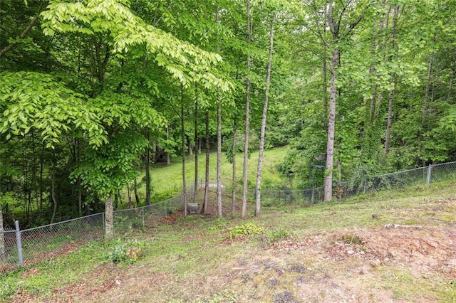 930 Brenau Point Dr, Gainesville, GA 30501 - view of yard featuring fence