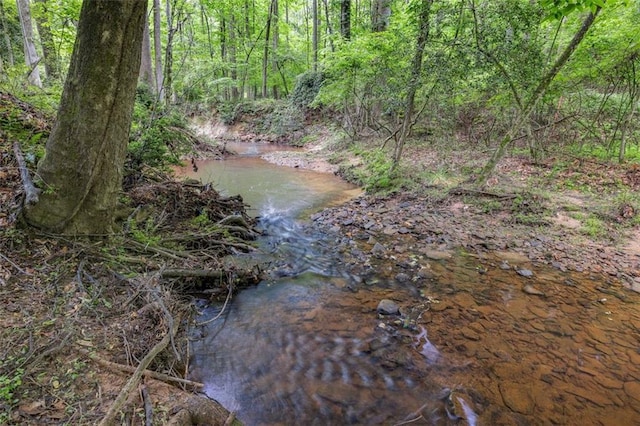930 Brenau Point Dr, Gainesville, GA 30501 - view of tree filled area