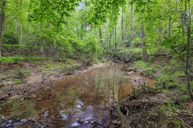 930 Brenau Point Dr, Gainesville, GA 30501 - view of woods