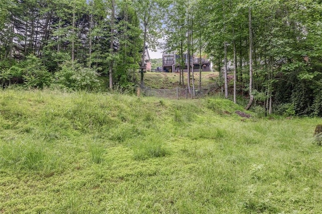 930 Brenau Point Dr, Gainesville, GA 30501 - view of yard