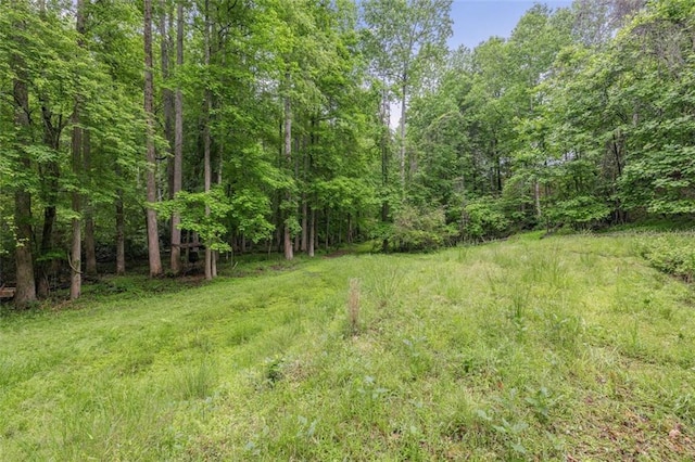 930 Brenau Point Dr, Gainesville, GA 30501 - view of wooded area