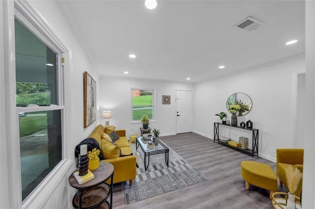 living room with hardwood / wood-style floors