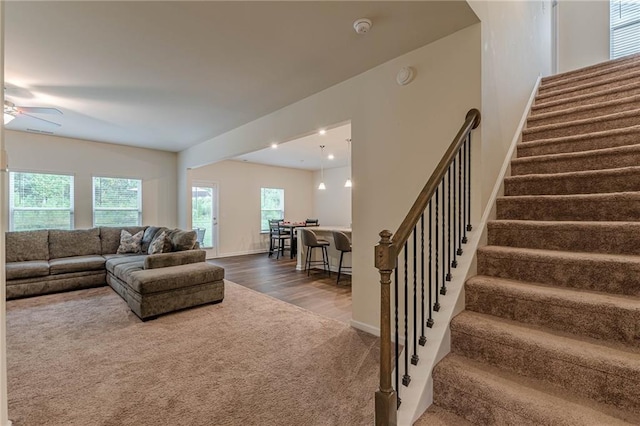 living room featuring ceiling fan and dark hardwood / wood-style floors