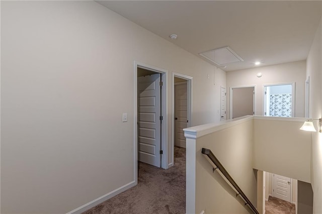 hallway featuring carpet