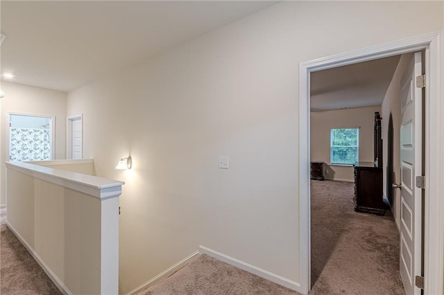 corridor with carpet flooring