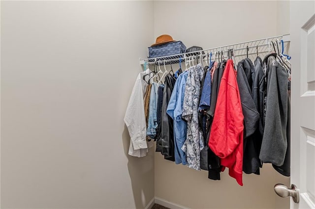 walk in closet featuring carpet flooring