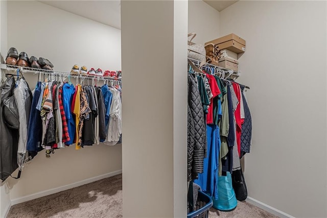 spacious closet with light colored carpet