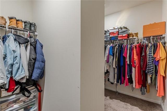 spacious closet with carpet