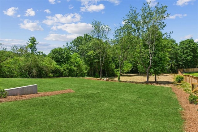 7188 Williams Rd, Flowery Branch, GA 30542 - view of community