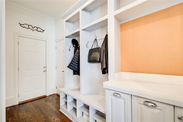 mudroom with ornamental molding and dark wood finished floors