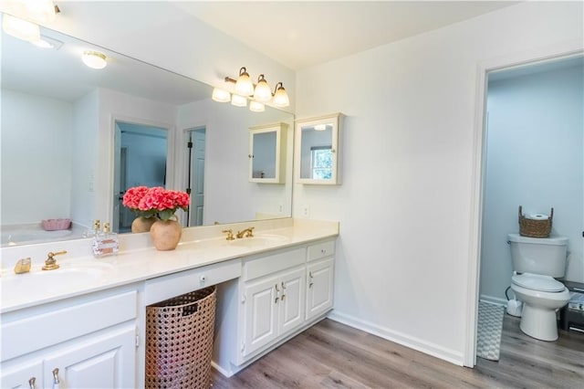 3664 Maple Forge Ln, Gainesville, GA 30504 - bathroom featuring wood finished floors and double vanity