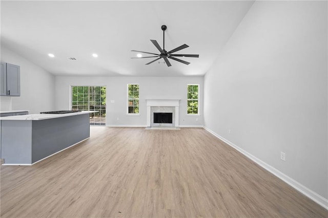 3156 Ozmer Lndg, Decatur, GA 30034 - unfurnished living room with lofted ceiling, plenty of natural light, a ceiling fan, light wood finished floors, and baseboards