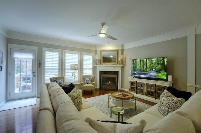 living room with hardwood / wood-style floors, ceiling fan, and ornamental molding