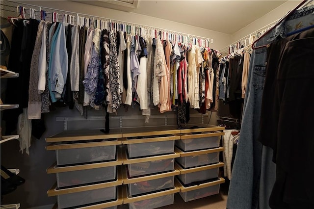 view of spacious closet