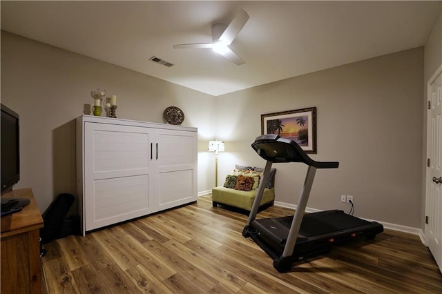 workout room with ceiling fan and wood-type flooring