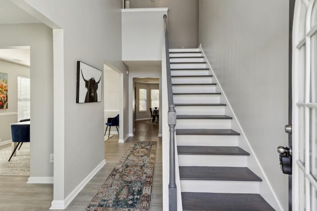 entrance foyer featuring hardwood / wood-style floors