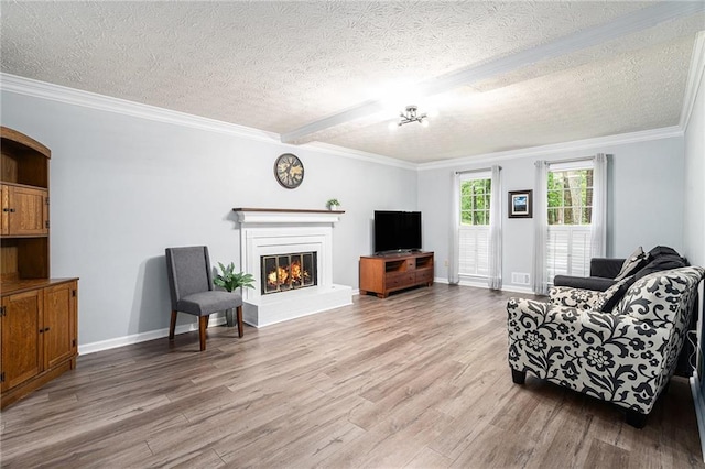 1879 Beaver Dam Ln NE, Marietta, GA 30062 - living room with a textured ceiling, light wood-type flooring, a glass covered fireplace, ornamental molding, and baseboards