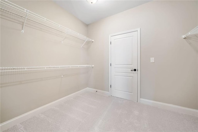walk in closet featuring carpet flooring
