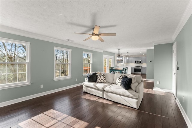 living room with crown molding, a textured ceiling, and dark hardwood / wood-style flooring