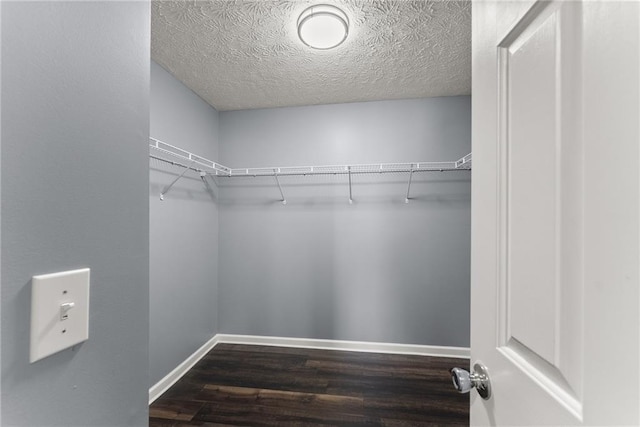 spacious closet featuring dark wood-type flooring