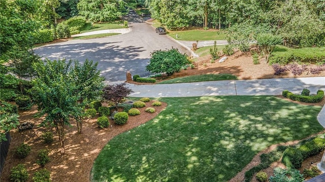 2080 Old Dominion Rd, Atlanta, GA 30350 - view of green lawn