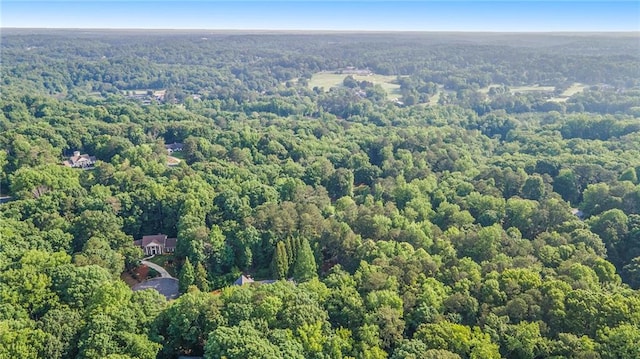 2080 Old Dominion Rd, Atlanta, GA 30350 - bird's eye view of a heavily wooded area