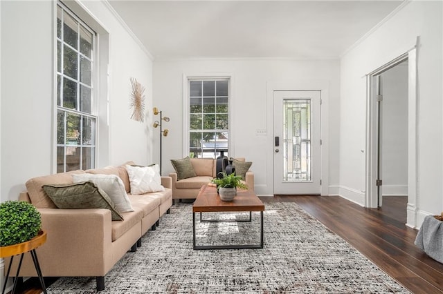 1712 Evans Dr SW, Atlanta, GA 30310 - living room with dark wood-style flooring, ornamental molding, and baseboards