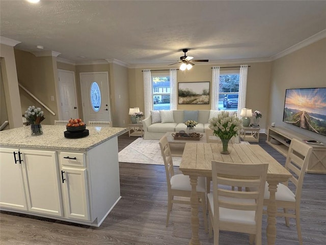 interior space featuring white cabinetry, a center island, ceiling fan, dark wood-type flooring, and light stone counters