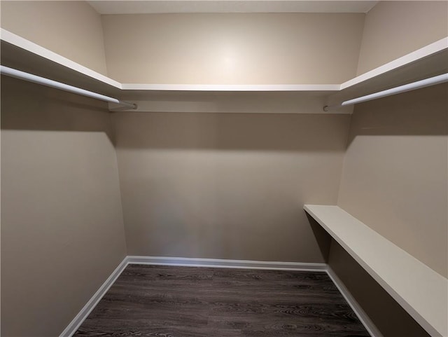 walk in closet with dark hardwood / wood-style floors