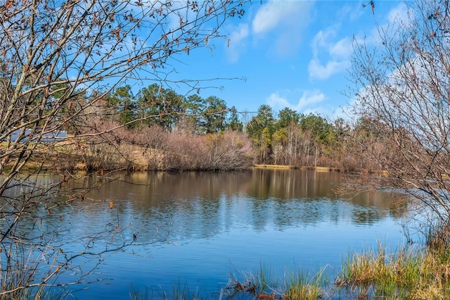 property view of water