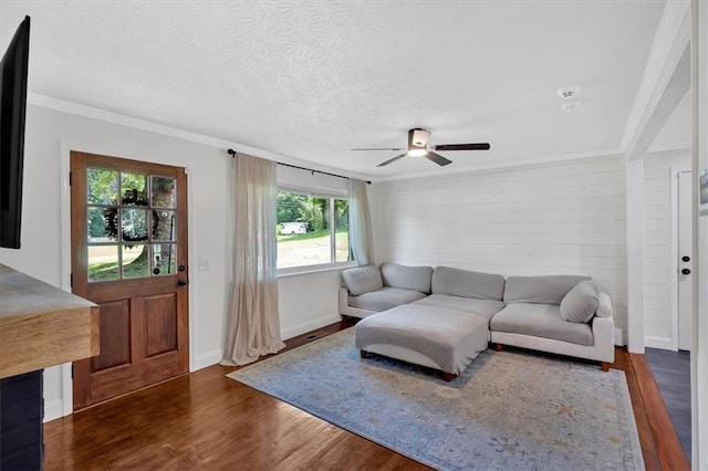 1162 Newtown Church Rd NE, Calhoun, GA 30701 - living room featuring wood finished floors, ornamental molding, and a ceiling fan