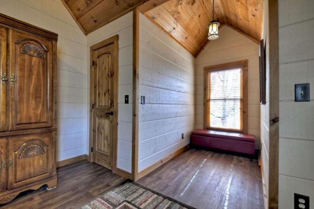 115 Coldwater Creek Dr, Mineral Bluff, GA 30559 - foyer featuring vaulted ceiling, dark wood-style flooring, wood ceiling, and wooden walls