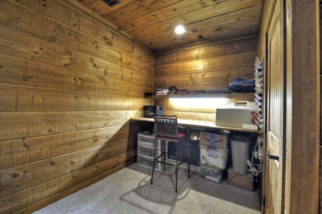 115 Coldwater Creek Dr, Mineral Bluff, GA 30559 - home office with wooden ceiling, wooden walls, and carpet floors