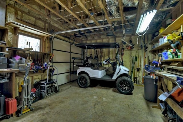 115 Coldwater Creek Dr, Mineral Bluff, GA 30559 - garage with a workshop area