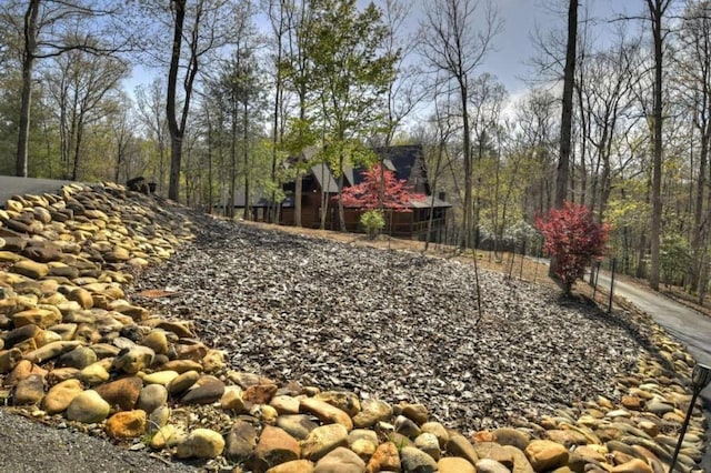 115 Coldwater Creek Dr, Mineral Bluff, GA 30559 - view of yard