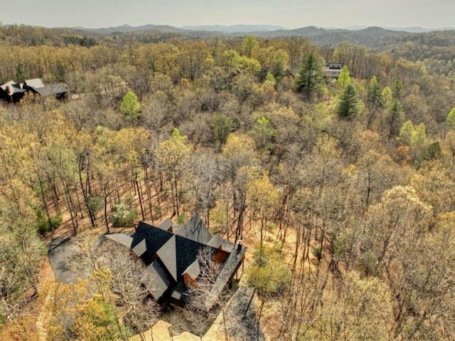 115 Coldwater Creek Dr, Mineral Bluff, GA 30559 - aerial view of property and surrounding area with a forest