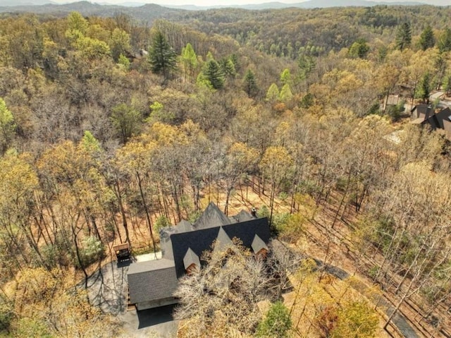 115 Coldwater Creek Dr, Mineral Bluff, GA 30559 - aerial view of property and surrounding area with a heavily wooded area and a mountainous background