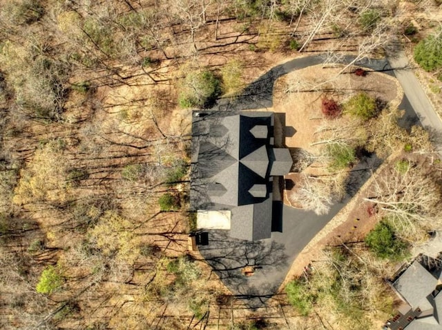 115 Coldwater Creek Dr, Mineral Bluff, GA 30559 - aerial view