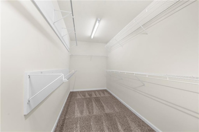 5312 Tormeal Trce, Suwanee, GA 30024 - spacious closet featuring carpet flooring