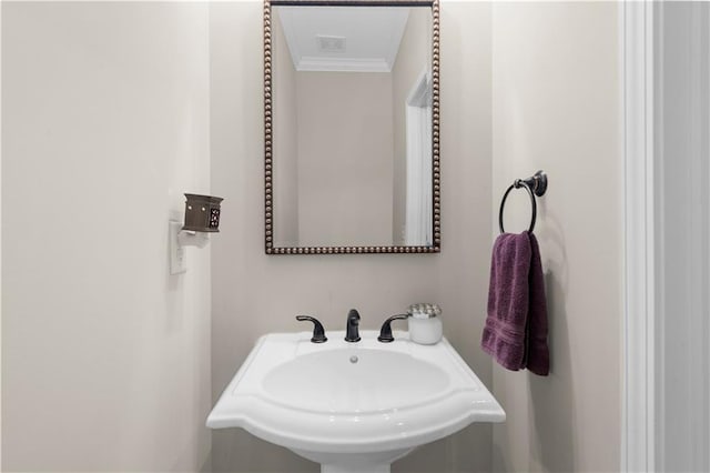 989 Pink Williams Rd, Dahlonega, GA 30533 - bathroom with ornamental molding and a sink