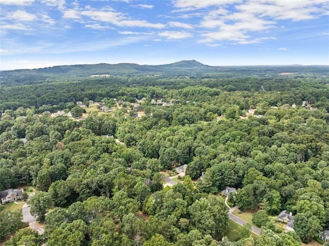 drone / aerial view featuring a mountain view