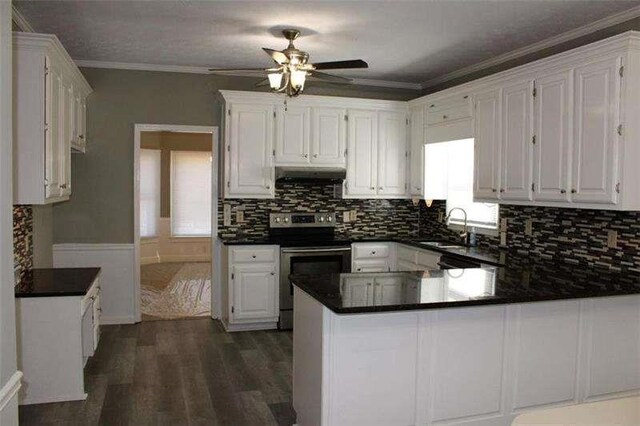 2031 Lakewood Cir, Grayson, GA 30017 - kitchen with stainless steel electric range, ventilation hood, a peninsula, a sink, and ceiling fan