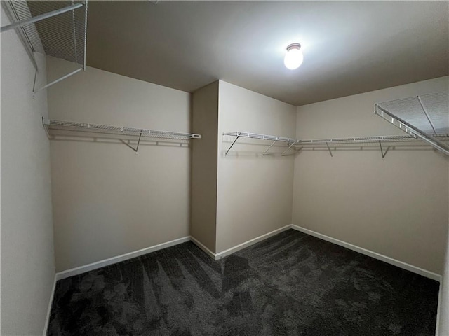 walk in closet featuring dark carpet