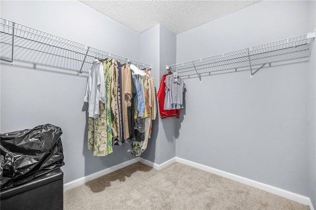 walk in closet featuring carpet