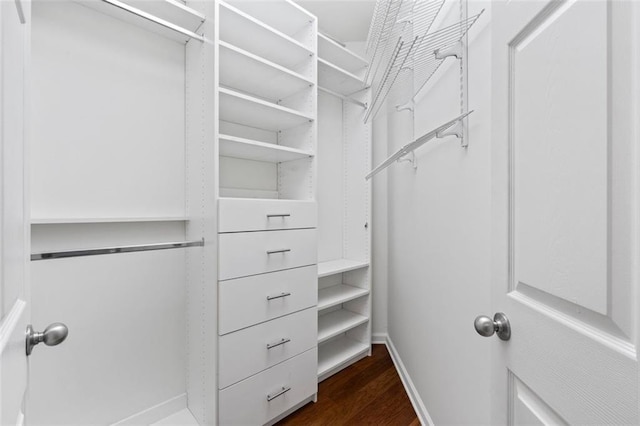 400 17th St NW Unit 1321, Atlanta, GA 30363 - walk in closet with dark wood-style floors